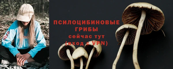 ПСИЛОЦИБИНОВЫЕ ГРИБЫ Медвежьегорск