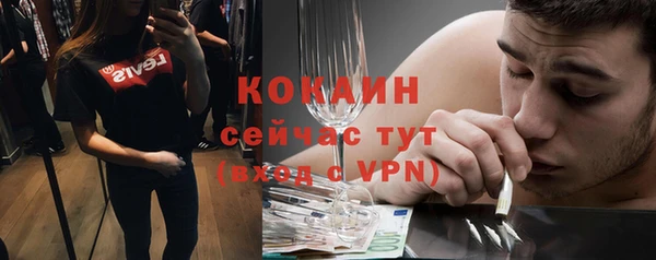 ПСИЛОЦИБИНОВЫЕ ГРИБЫ Медвежьегорск