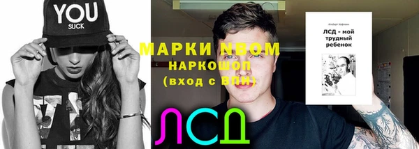 ПСИЛОЦИБИНОВЫЕ ГРИБЫ Медвежьегорск